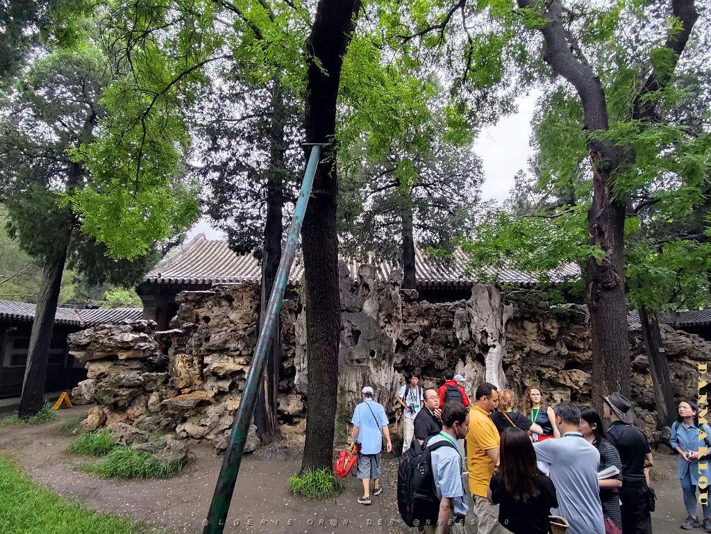 PEKIN - PARC BEIHAI (25).jpg